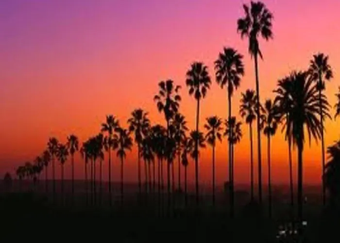 Venice Beach Apartments Monthly Rents